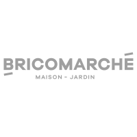 logo-bricomarche1a